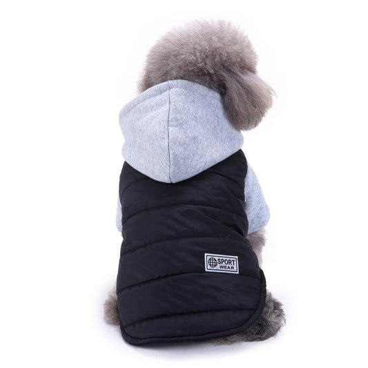 Apparel Pet Sweater Teddy Clothing