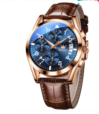 Quartz Waterproof Luminous OLEVS Luxury Watches - Mens