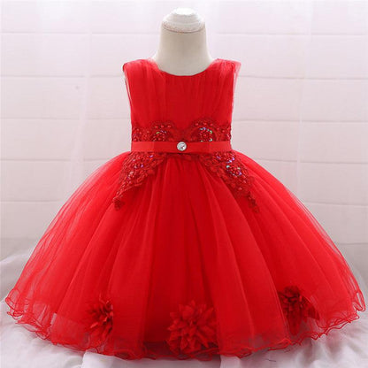 Girls Beautiful Embroidered Lace Princess Dress