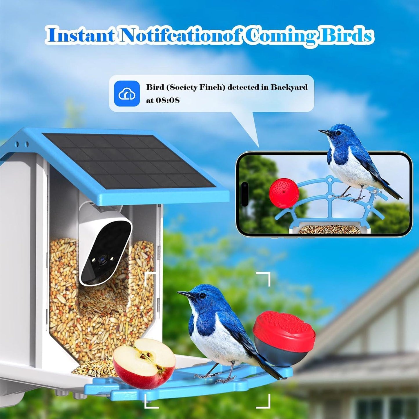 Smart Bird Feeder With Camera,Solar-Powered WiFi 4MP Live Camera,AI Identify,Auto Capture & Motion Detection