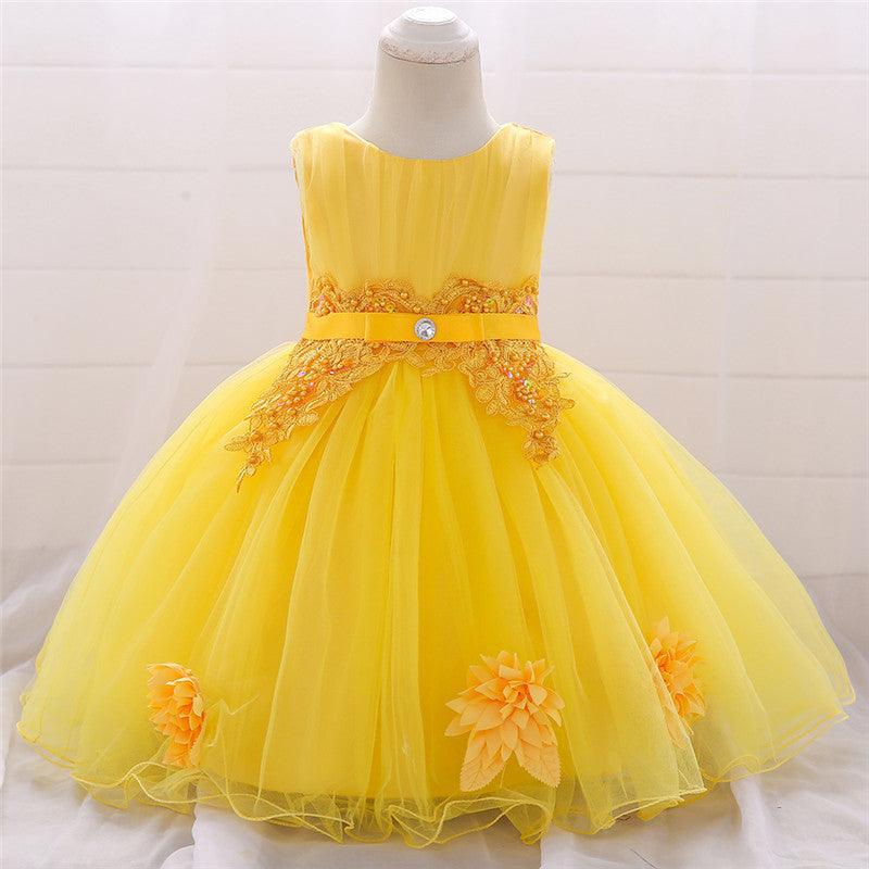 Girls Beautiful Embroidered Lace Princess Dress