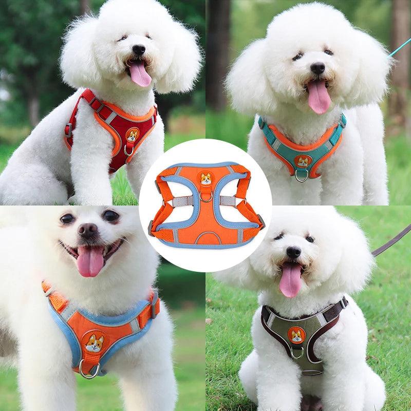 Dog Leash And Harness Set Adjustable Vest Reflective Walking No Pull Lead Leash For Small Dogs